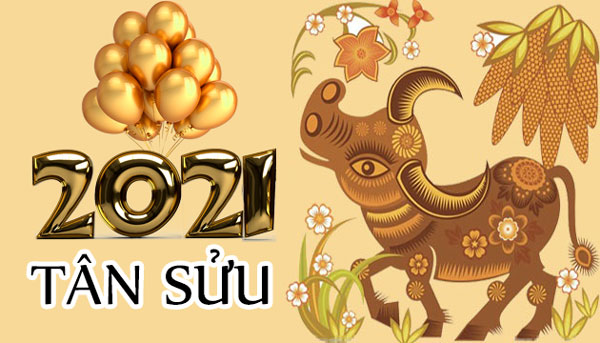 Xem Tử Vi 2021 Theo Ngày Tháng Năm Sinh