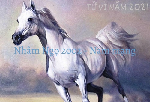 tử vi tuổi ngọ 2002 năm 2021