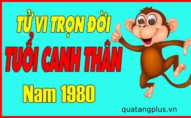 Tử Vi Trọn Đời Tuổi Canh Thân 1980 Nam Mạng: Vận Mệnh – Tính Cách – Công Danh – Phong Thủy Chi Tiết tử vi trọn đời tuổi Canh Thân 1980 nam mạng