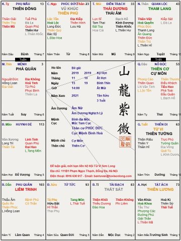 Xem Tử Vi 2019 Theo Ngày Tháng Năm Sinh: Giải Mã Vận Mệnh Chi Tiết & Chính Xác Nhất