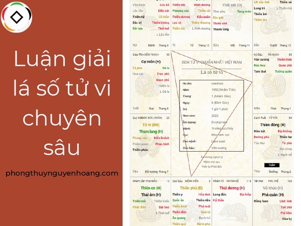 luận giải tử vi chuyên sâu