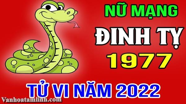 Tử Vi Nữ Mạng 1977 Năm 2022 (Đinh Tỵ) – Dự Báo Vận Hạn, Tài Lộc & Hóa Giải Chuẩn Phong Thủy