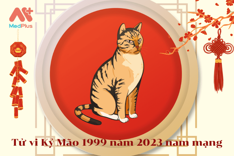 Tử vi tuổi Mão 1999 năm 2023 nam mạng: Luận giải vận hạn – sao chiếu mệnh & cát hung chi tiết nhất