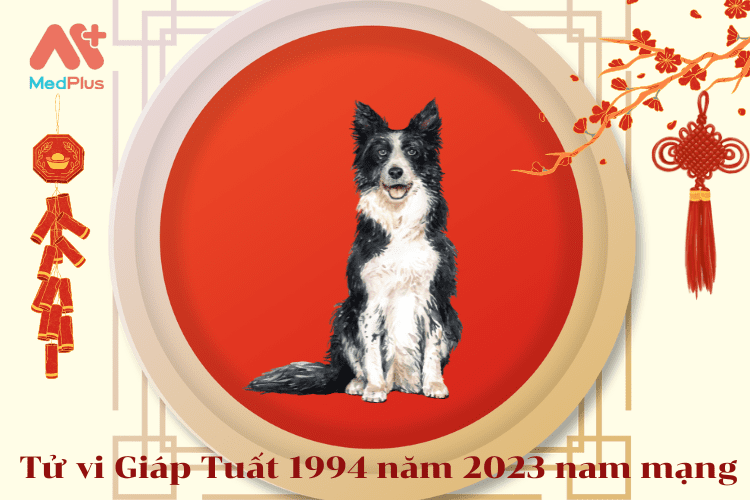 Tử vi 1994 năm 2023: Dự đoán vận mệnh tuổi Giáp Tuất chi tiết & chuẩn xác nhất