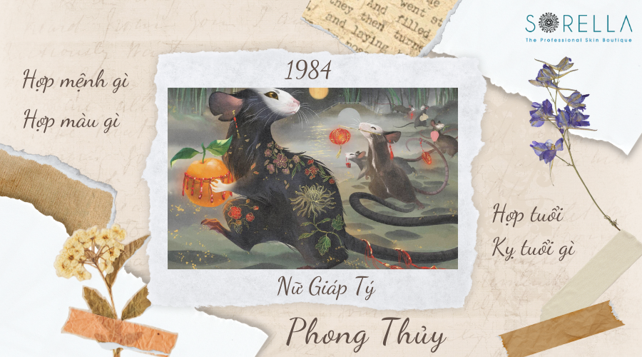 Tử vi tuổi Giáp Tý năm 2023 nữ mạng: Dự đoán vận mệnh & giải hạn chuẩn xác