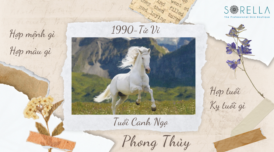 Tử vi tuổi Ngọ 1990 năm 2022 nữ mạng: Giải mã vận trình công danh – tài lộc – tình duyên