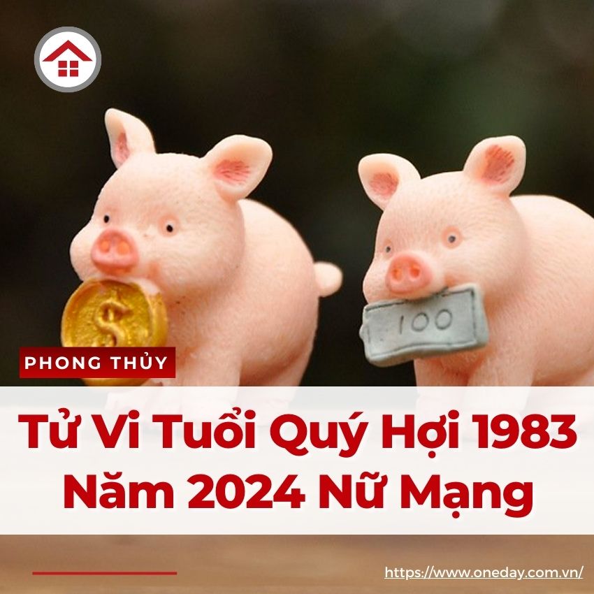 Thông tin tổng quan tuổi Quý Hợi nữ mạng 2024