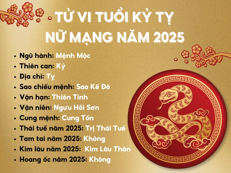 Sao chiếu mệnh tuổi Kỷ Tỵ 2025