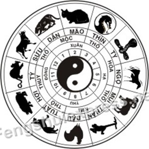 xem tử vi hàng ngày