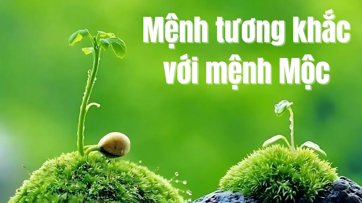 Ảnh hưởng của mệnh Mộc khắc mệnh gì trong Ngũ hành
