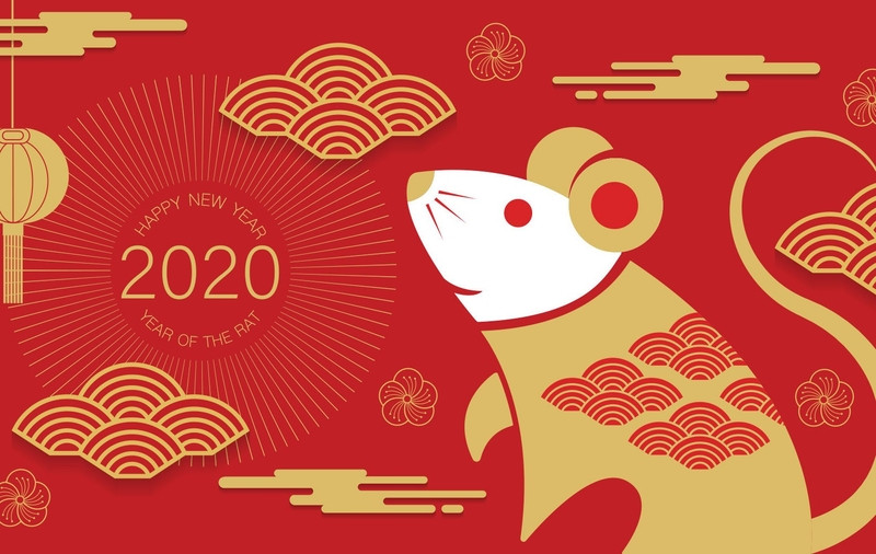 Bàn tay thiếu nữ 2020, biểu tượng cho vận may và những con số hợp mệnh