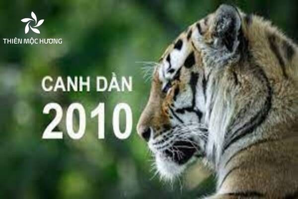 Bảng màu sắc tương sinh cho người sinh năm 2010 mệnh Mộc