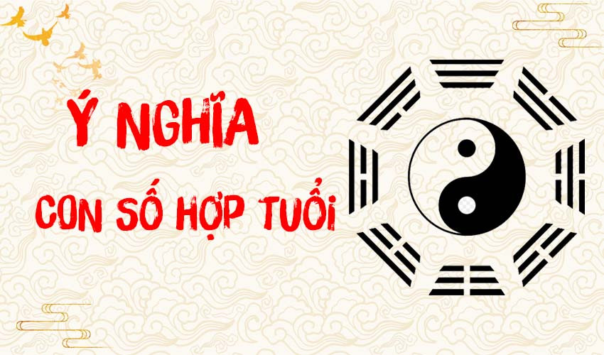 Bát quái và các con số may mắn cho người sinh năm Nhâm Dần 1962