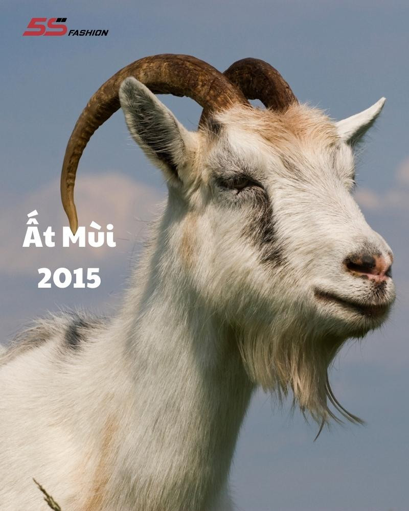 Bé trai sinh năm 2015 tuổi Ất Mùi, tượng trưng cho mệnh Kim trong phong thủy.