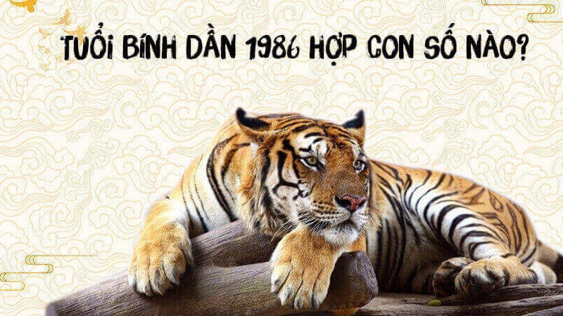 Bức ảnh thể hiện các con số trên bàn tay, tượng trưng cho sự may mắn và lựa chọn