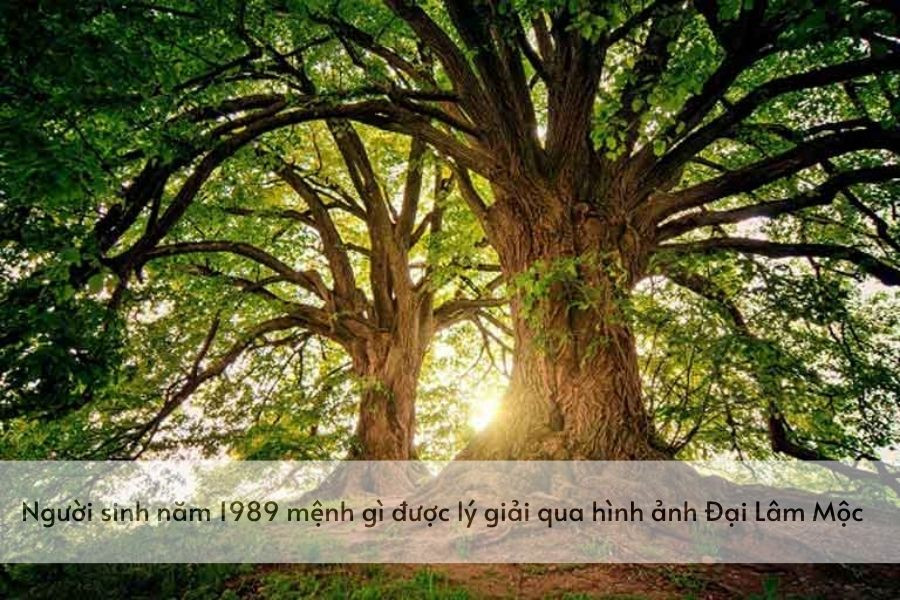 Bức tranh mô tả người sinh năm 1989 mệnh Đại Lâm Mộc, cây cổ thụ xanh tốt