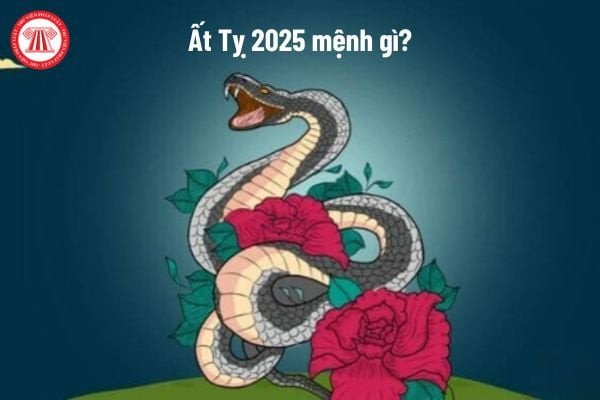 Bức tranh phong thủy về vận mệnh người tuổi Ất Tỵ 2025 mệnh gì