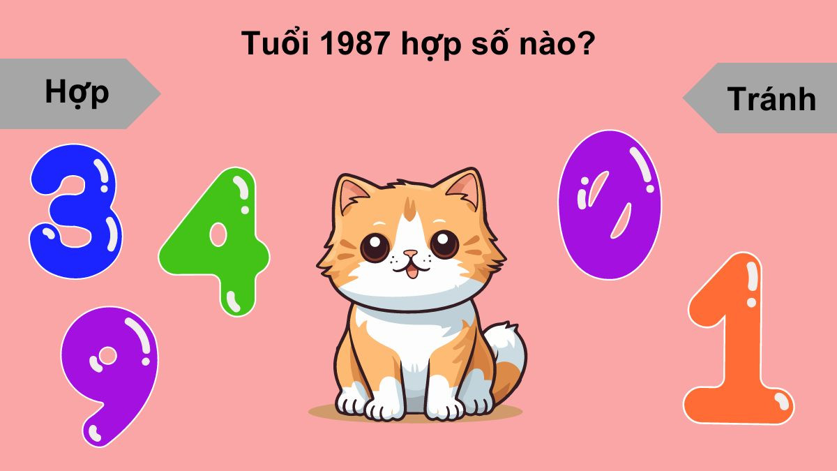 Các con số may mắn và cần tránh cho người sinh năm 1987