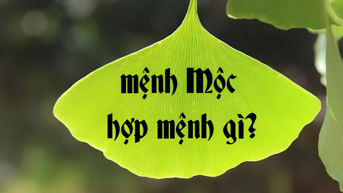 Các mệnh tương sinh, hợp để mệnh Mộc phát triển
