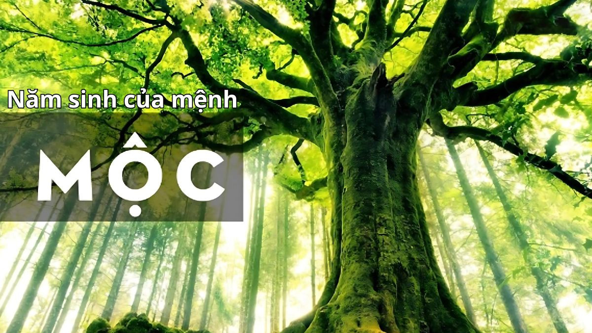 Các năm sinh cụ thể thuộc mệnh Mộc theo Ngũ hành