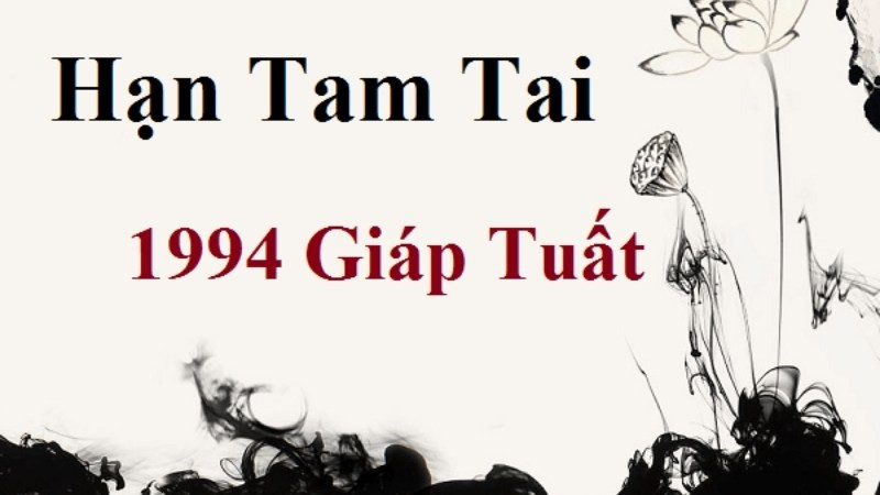 Các năm Tam Tai cần lưu ý cho người sinh năm 1994 Giáp Tuất nữ và nam giới
