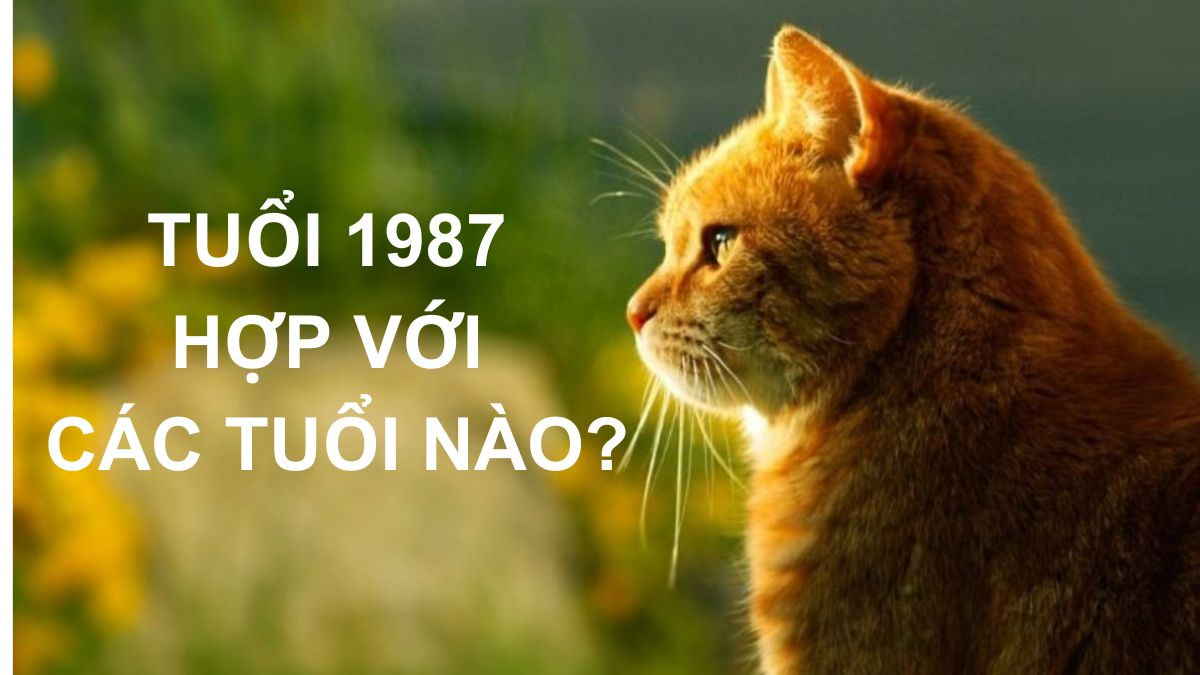 Các tuổi hợp và kỵ với người sinh năm 1987 trong làm ăn và hôn nhân