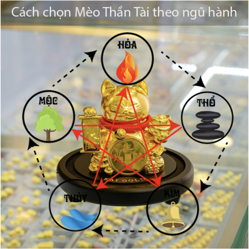 Cách chọn mèo Thần Tài hợp mệnh gì theo từng bản mệnh ngũ hành để thu hút vận may