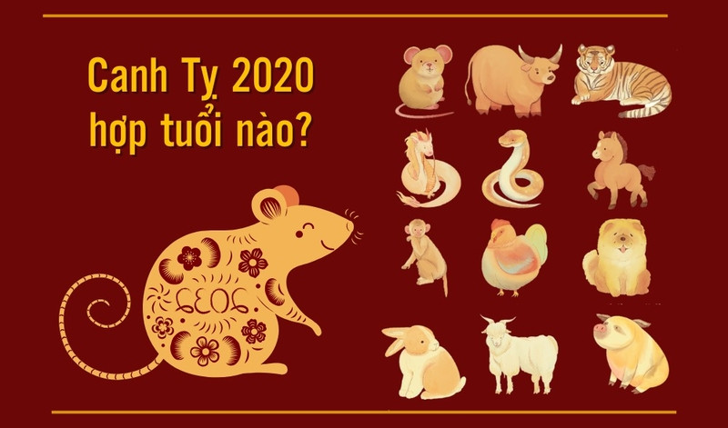 Cặp đôi hạnh phúc, tượng trưng cho sự hòa hợp tuổi tác trong hôn nhân của nữ sinh 2020