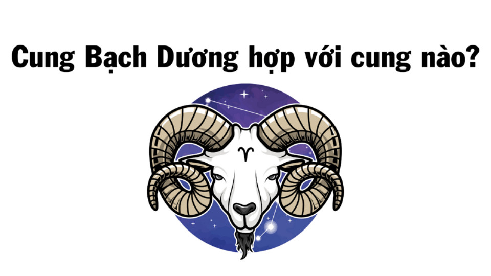 Cung Bạch Dương hợp với cung nào trong công việc