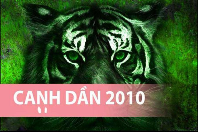 Em bé Canh Dần 2010, tượng trưng cho mệnh Mộc và sự khởi đầu