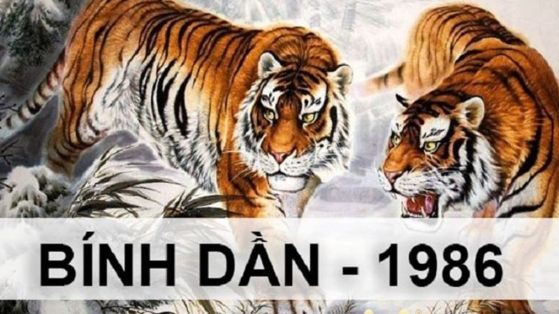 Giải thích cách tính và hóa giải hạn Tam Tai cho tuổi Bính Dần 1986