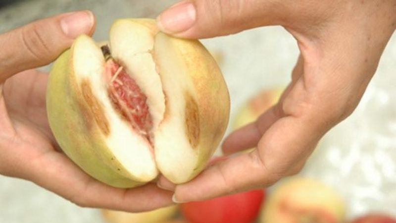 Hoa quả tươi ngon, không dập nát là tiêu chí quan trọng khi chuẩn bị mâm cúng Rằm tháng 7.