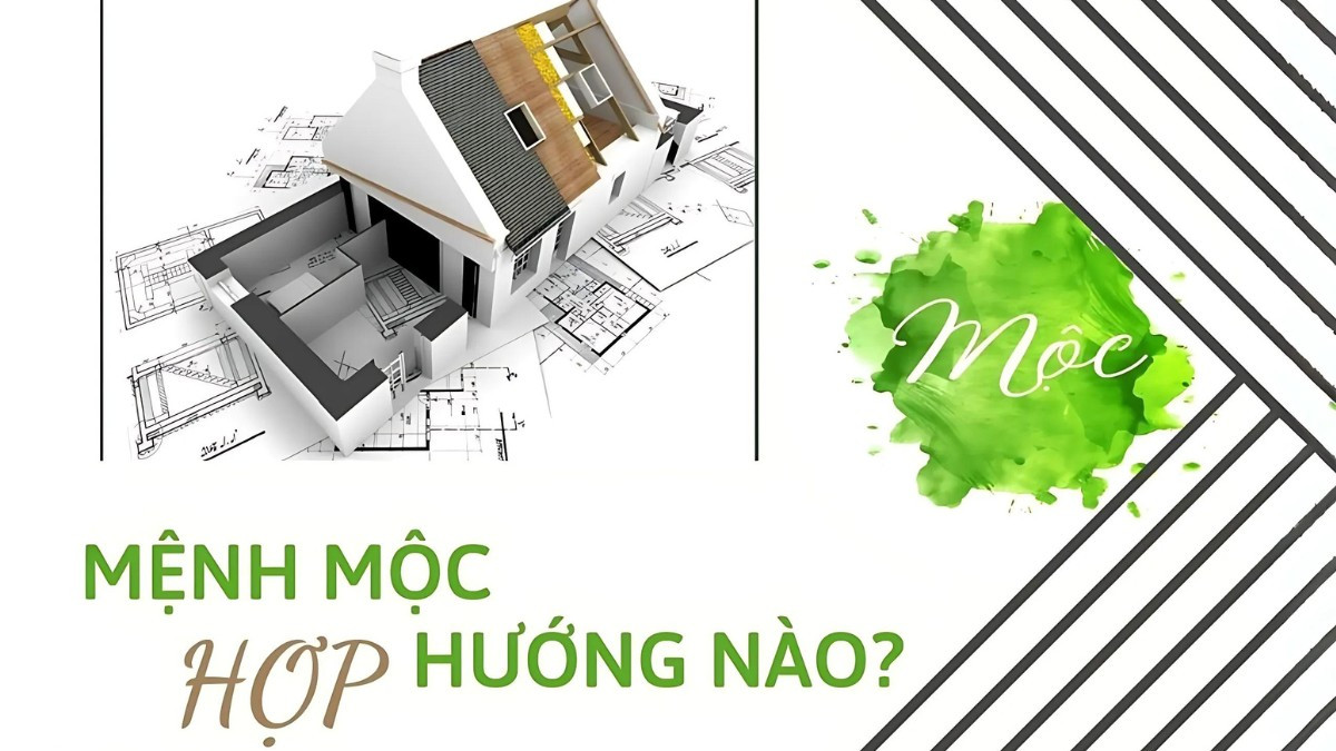 Hướng nhà tốt nhất để mệnh Mộc an cư lạc nghiệp