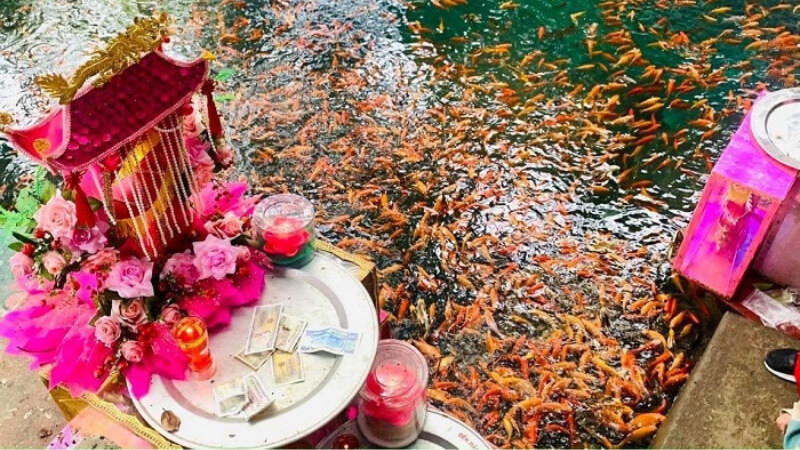 Khung cảnh đền thờ linh thiêng, nơi thực hành nghi lễ văn khấn Cô Chín Giếng vào những ngày lễ chính.