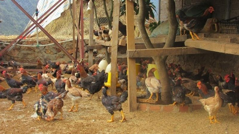 Lưu ý khi cúng ông Chuồng bà Chuồng