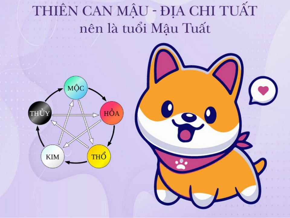 Màu sắc hợp mệnh người sinh năm Mậu Tuất 2018 để thu hút may mắn
