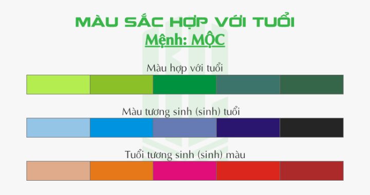 Màu sắc hợp với người sinh năm 1958 mệnh gì