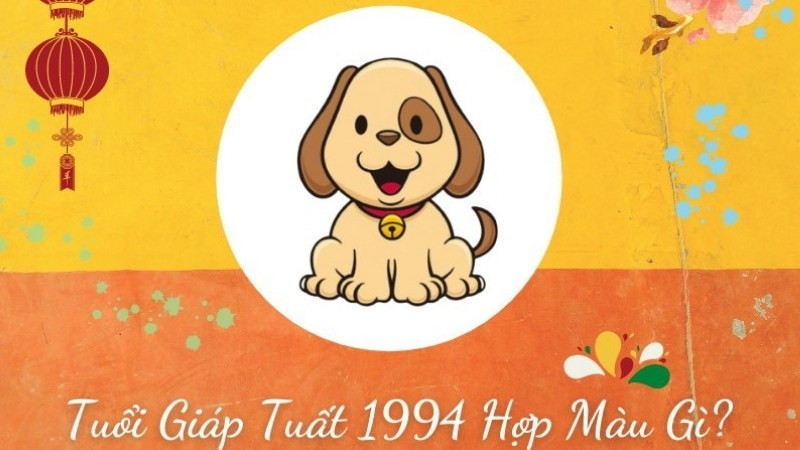 Màu sắc hợp với nữ Giáp Tuất 1994 là xanh lá, đỏ, cam, hồng, tím