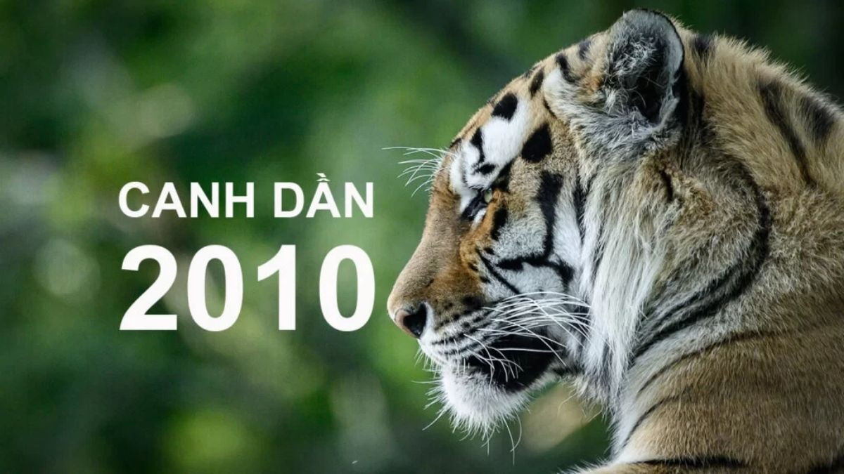 Năm 2010 mệnh gì và ý nghĩa của mệnh