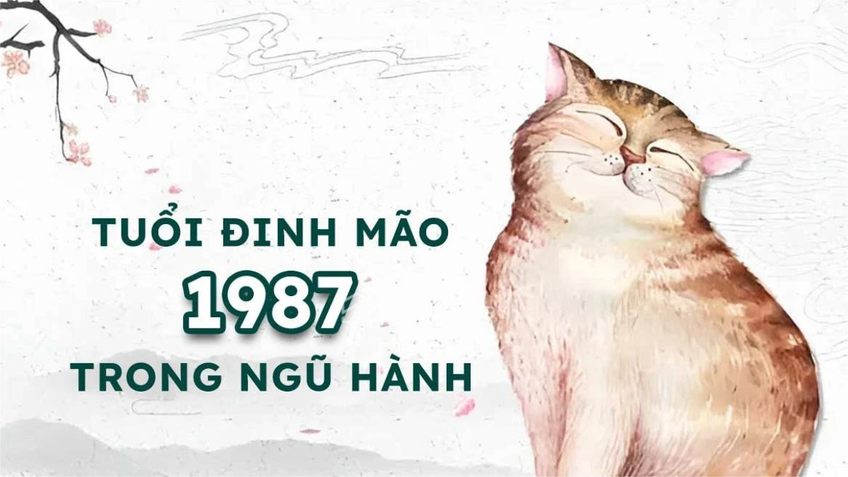 Nam nữ sinh năm 1987 thuộc cung mệnh và ý nghĩa