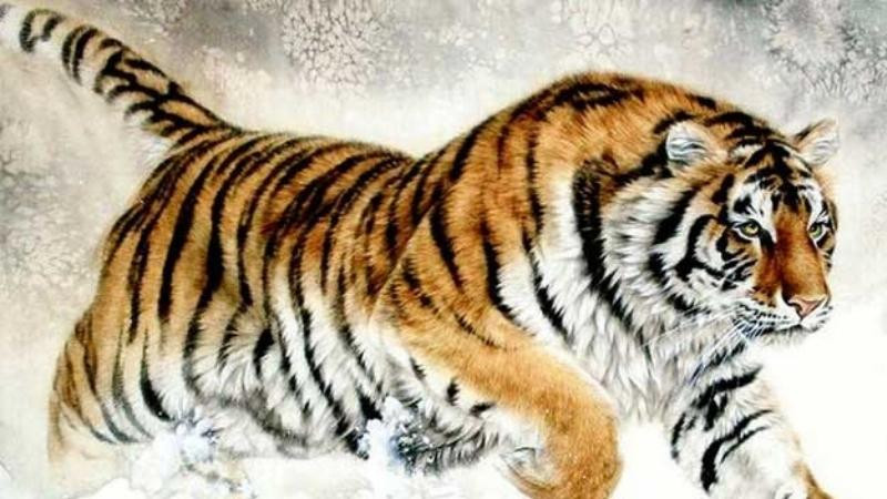 Năm tam tai của tuổi Dần 2022 và cách hóa giải hiệu quả