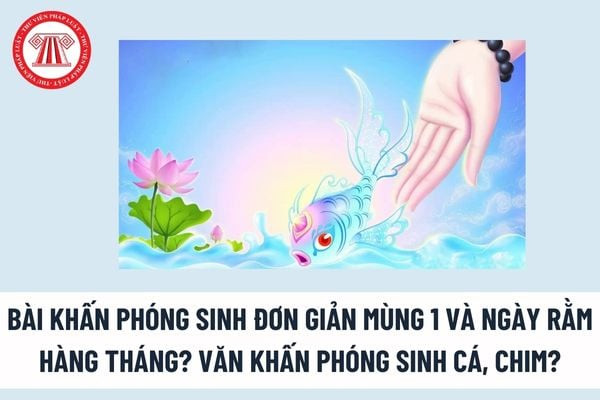 Nghi thức phóng sinh cá và các loài vật khác để tích phước báu