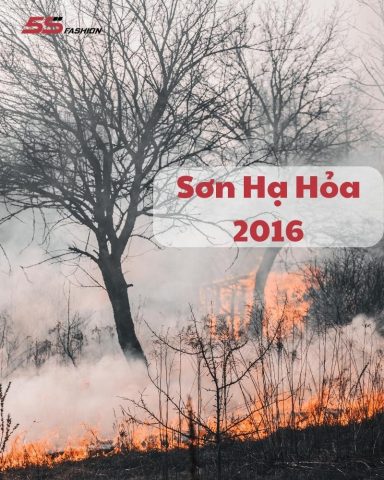 Người đàn ông đang suy tư về vận mệnh