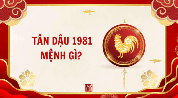 Người phụ nữ tuổi Tân Dậu 1981 với thần thái tự tin và mạnh mẽ