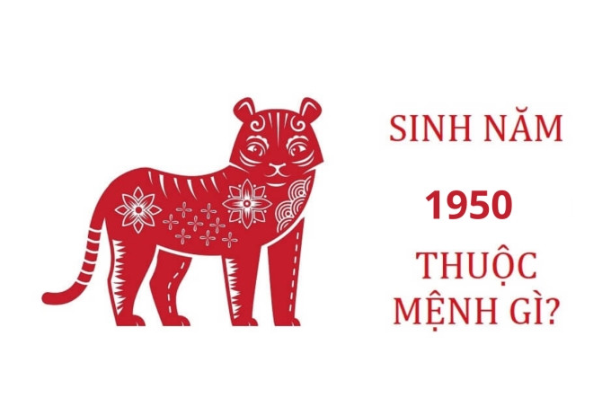 Người sinh năm 1950 nên lựa chọn con số nào?
