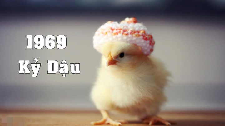 Người sinh năm 1969 thuộc mệnh Thổ Đại Trạch Thổ