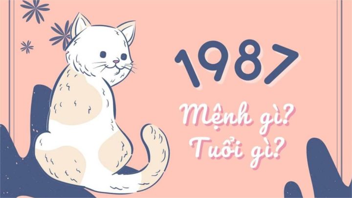 Người sinh năm 1987 thuộc mệnh Hỏa và tuổi Đinh Mão