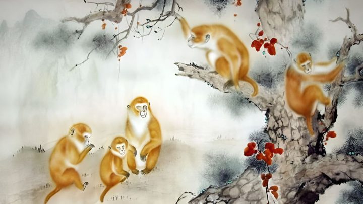 Người sinh năm 2016 cầm tinh con Khỉ