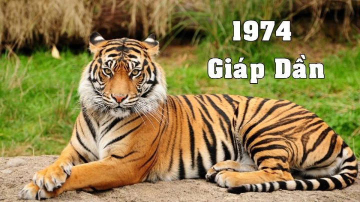 Người sinh năm 74 mệnh gì theo ngũ hành