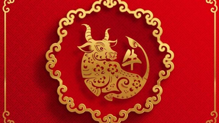 Người tuổi Ất Sửu 1985 thuộc mệnh Hải Trung Kim, tượng trưng cho vàng trong biển sâu.